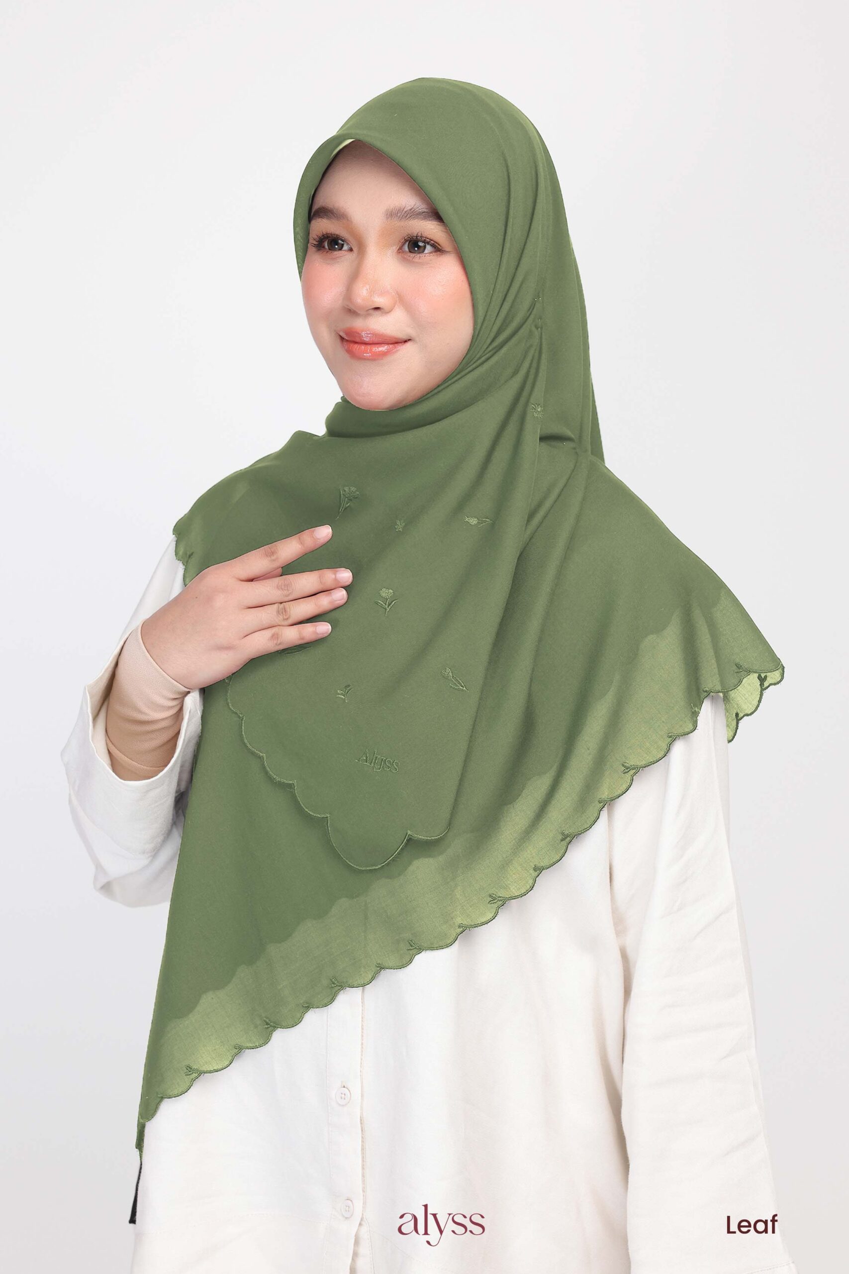 Blumea - Leaf - Image 3