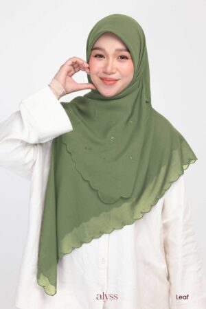 Alternative view of Blumea - Leaf